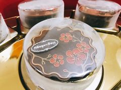 -哈根达斯(扬州瘦西湖店)