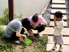 -洨河生态公园