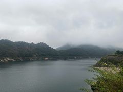 -长沙黑麋峰国家森林公园