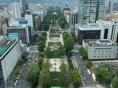 -大通公园