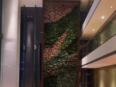 -深圳湾木棉花酒店