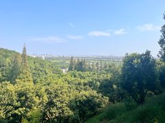 -宁波市保国寺古建筑博物馆