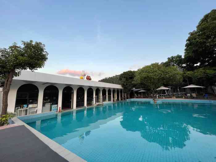 kk宠物俱乐部-"现在更名为kk宠物俱乐部了!天气好的时.