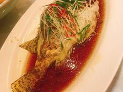 -红城阁·上海味道(四平路店)