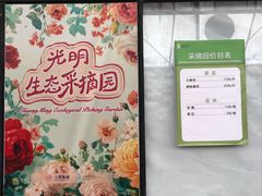 -上海鲜花港