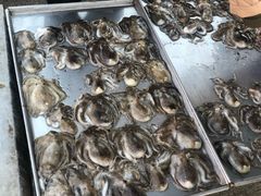 -重振华中蔬菜批发市场(重庆中路店)