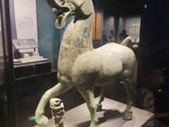 -广西壮族自治区博物馆