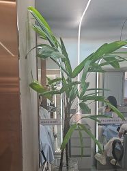 -杜卡诗·美容美发