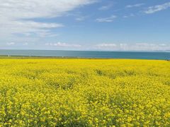 -青海湖国家重点风景名胜区