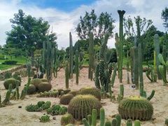-东莞植物园