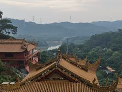 -东莞市大岭山森林公园