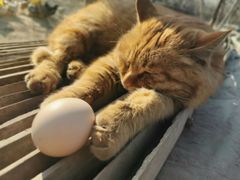 -兴芮温泉度假区