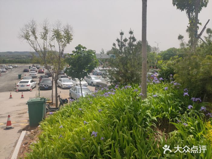 济南野生动物世界北门停车场图片