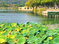 -南北湖风景区