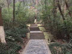 -赭山公园