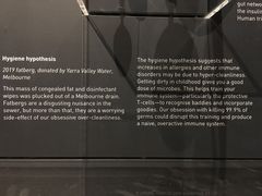 -墨尔本博物馆(Melbourne Museum)