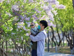 -大兴滨河森林公园