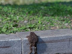 -沈阳森林动物园