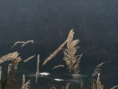 -黄埔油麻山森林公园