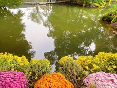 -杭州植物园