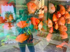 -悦来酒家·正宗闽南菜(西街店)