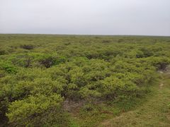 -北海金海湾红树林生态旅游区