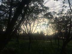 -两河城市森林公园