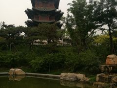 -迎泽公园