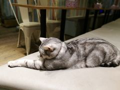 -小时光咖啡馆(开森度假森林店)
