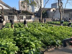 -绍兴鲁迅故里·沈园景区