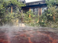 -仁爱团泊湖温泉中心
