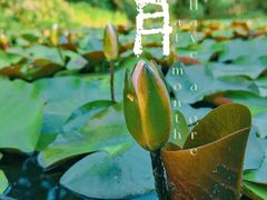 -西昌邛海湿地