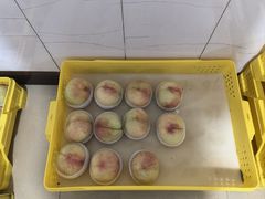 -老袁家蜜桃农场·阳山水蜜桃