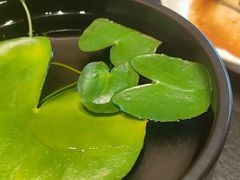 -虹之森·小馆