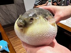 -永安鱼庄·镇江菜(东吴路店)