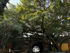 -桂林独秀峰王城景区