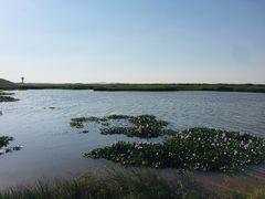 -鄱阳湖国家湿地公园