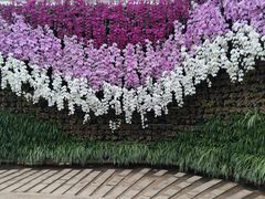 -石家庄市植物园