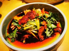 -素虎小呆鸟(西二旗店)