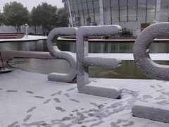 -上海市实验学校