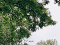 -元大都城垣遗址公园