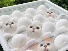 -叁拾壹克饺子·东北菜(国贸店)