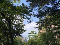 -黄山风景区