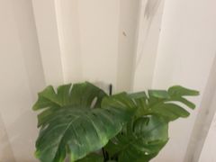 -金汤宴餐厅·粤菜(德云社店)