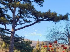 -香山公园