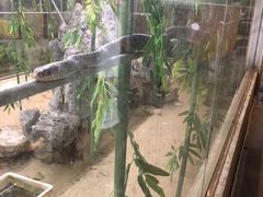 -荔城生鲜盛宴(番禺旗舰店)