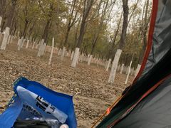 -西青郊野公园