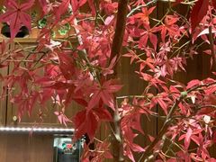 -揽季锅物会.福建黄鱼.海鲜姿造(五四路店)