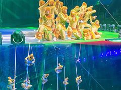 -灵玲国际马戏城