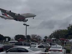 -In-N-Out Burger(LAX)